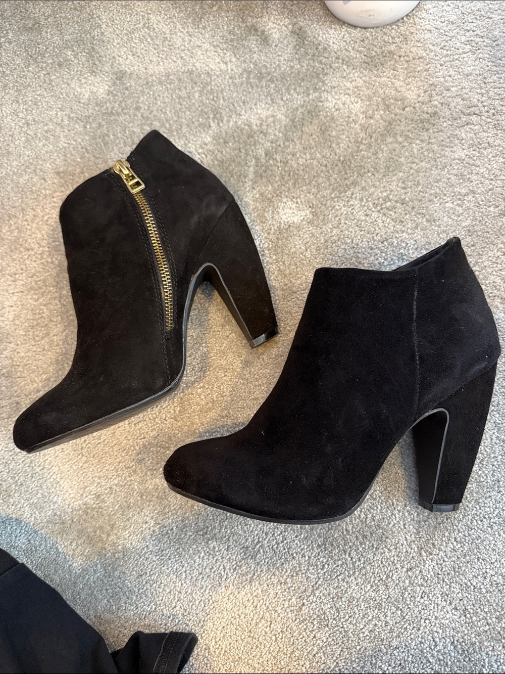 Steve Madden Black Suede Ankle Booties with Gold Zip Accent